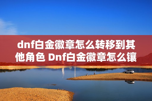 dnf白金徽章怎么转移到其他角色 Dnf白金徽章怎么镶嵌