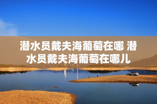 潜水员戴夫海葡萄在哪 潜水员戴夫海葡萄在哪儿