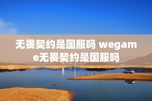 无畏契约是国服吗 wegame无畏契约是国服吗