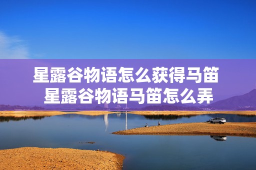 星露谷物语怎么获得马笛 星露谷物语马笛怎么弄