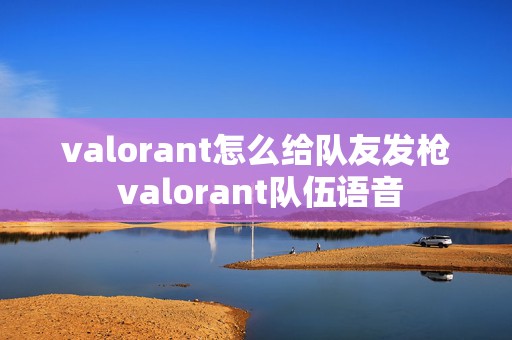 valorant怎么给队友发枪 valorant队伍语音