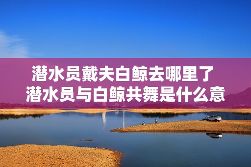 潜水员戴夫白鲸去哪里了 潜水员与白鲸共舞是什么意思