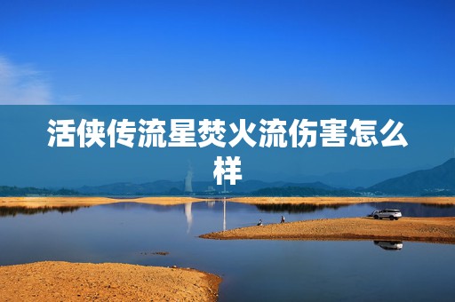 活侠传流星焚火流伤害怎么样