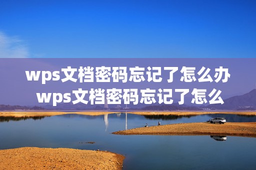 wps文档密码忘记了怎么办 wps文档密码忘记了怎么办