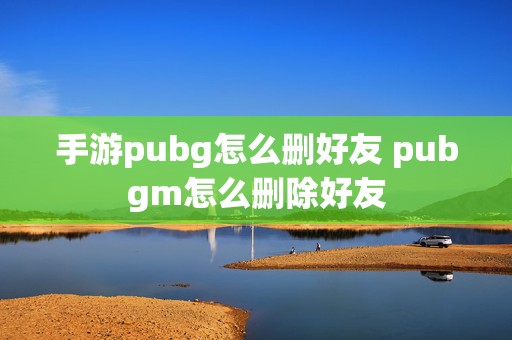 手游pubg怎么删好友 pubgm怎么删除好友