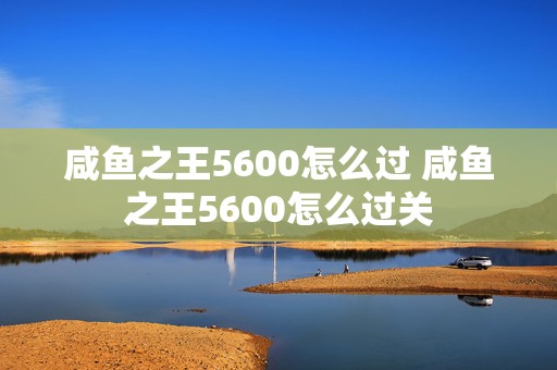 咸鱼之王5600怎么过 咸鱼之王5600怎么过关