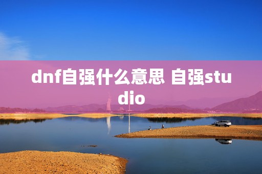 dnf自强什么意思 自强studio