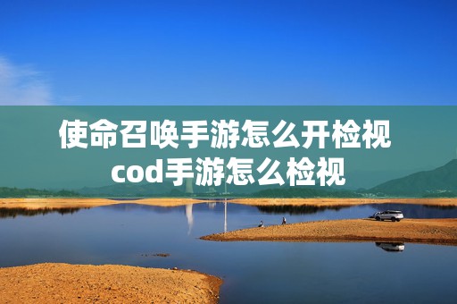 使命召唤手游怎么开检视 cod手游怎么检视