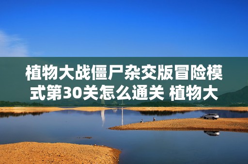 植物大战僵尸杂交版冒险模式第30关怎么通关 植物大战僵尸冒险模式3-3攻略