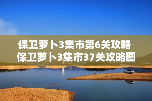 保卫萝卜3集市第6关攻略 保卫萝卜3集市37关攻略图解法