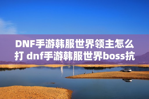 DNF手游韩服世界领主怎么打 dnf手游韩服世界boss抗性