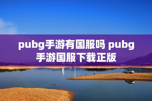 pubg手游有国服吗 pubg手游国服下载正版