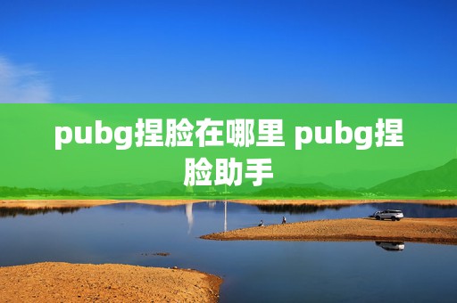 pubg捏脸在哪里 pubg捏脸助手