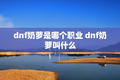 dnf奶萝是哪个职业 dnf奶萝叫什么