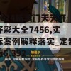 2024新澳门天天开好彩大全7456,实际案例解释落实_定制版6.392