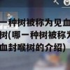 哪一种树被称为见血封喉树(哪一种树被称为见血封喉树的介绍)