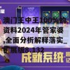 澳门王中王100%的资料2024年管家婆,全面分析解释落实_扩展版8.132