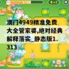 澳门4949精准免费大全管家婆,绝对经典解释落实_静态版1.313