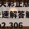 新澳天天彩正版资料管家婆,快速解答解释落实_win2.306