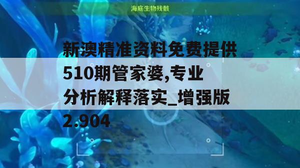 新澳精准资料免费提供510期管家婆,专业分析解释落实_增强版2.904