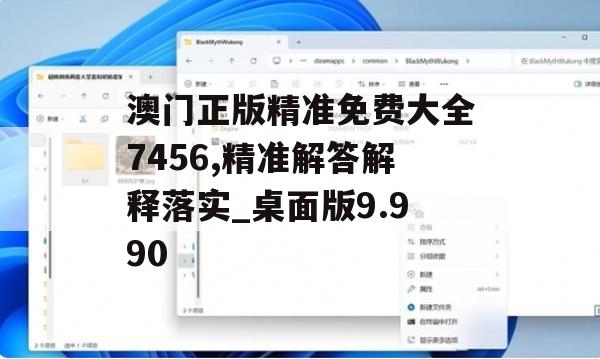 澳门正版精准免费大全7456,精准解答解释落实_桌面版9.990